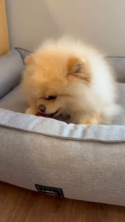 Story