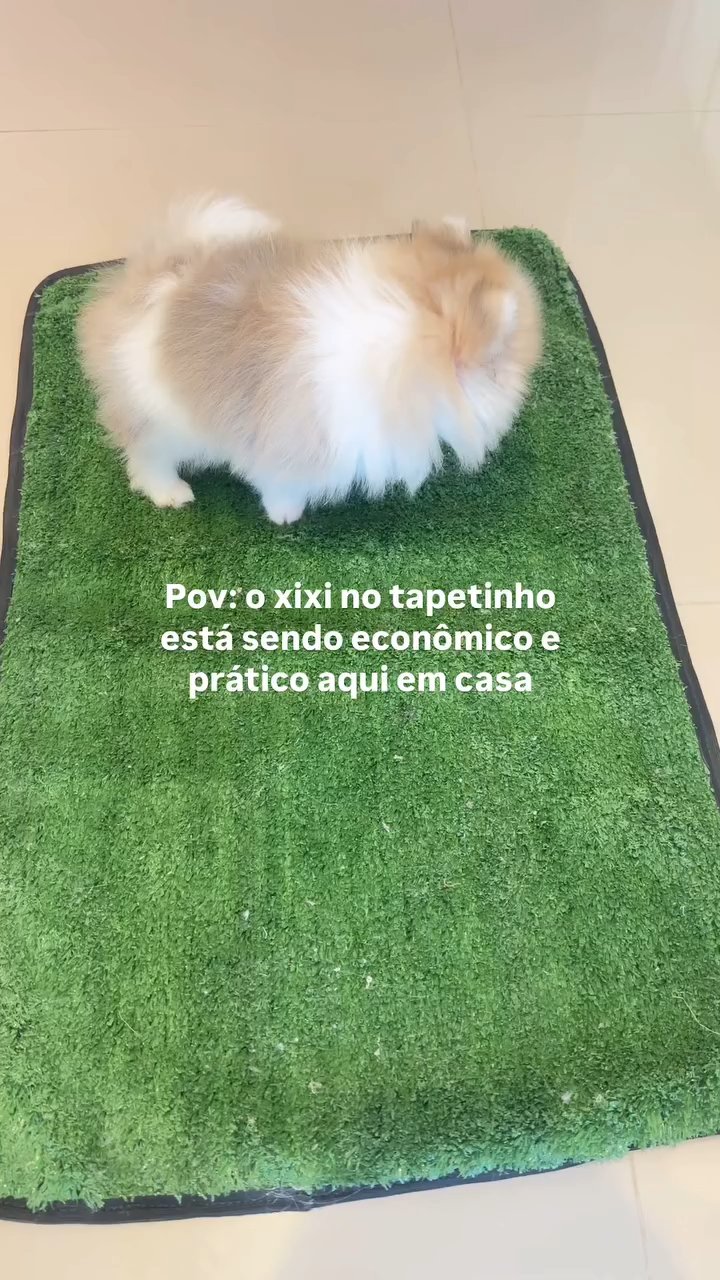 Story
